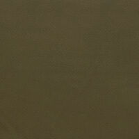 Dark Olive