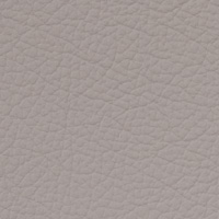 Platinum Grey